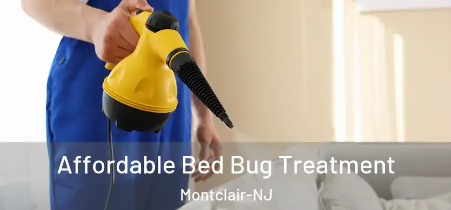  Affordable Bed Bug Treatment Montclair-NJ