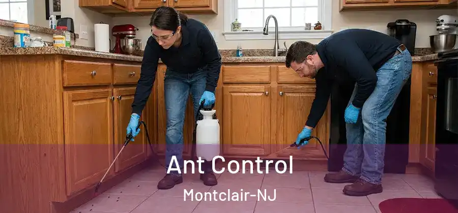 Ant Control Montclair-NJ