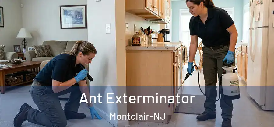 Ant Exterminator Montclair-NJ