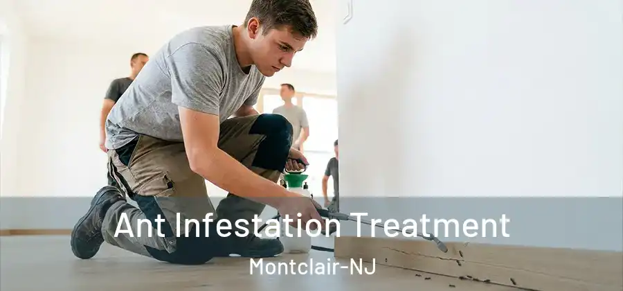  Ant Infestation Treatment Montclair-NJ
