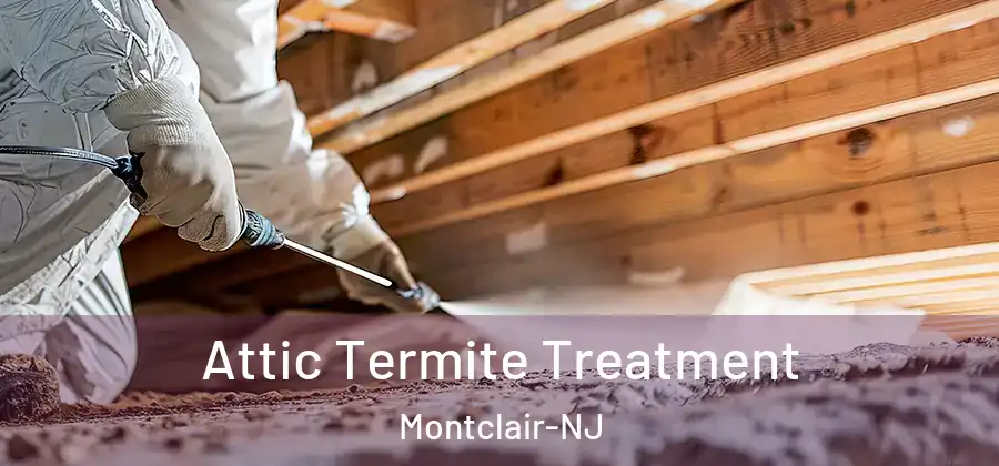  Attic Termite Treatment Montclair-NJ