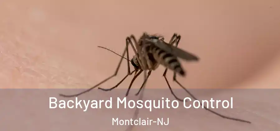  Backyard Mosquito Control Montclair-NJ