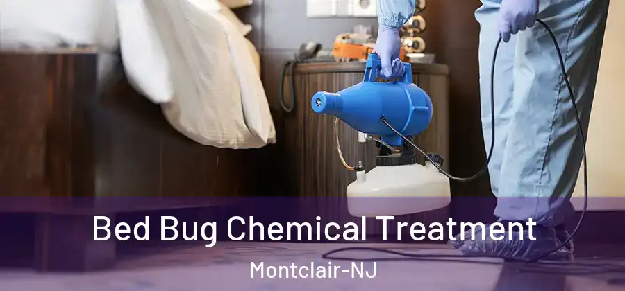  Bed Bug Chemical Treatment Montclair-NJ