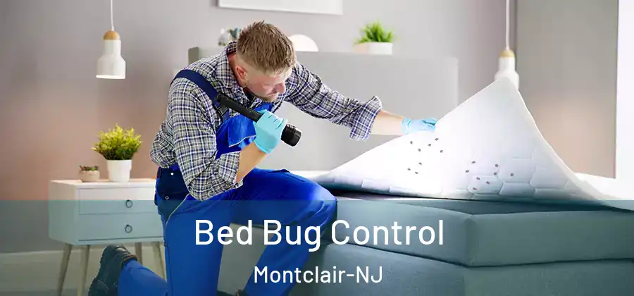 Bed Bug Control Montclair-NJ