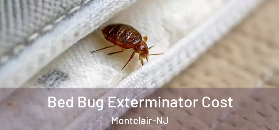 Bed Bug Exterminator Cost Montclair-NJ