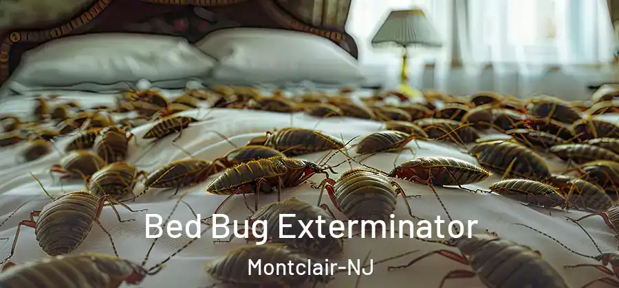  Bed Bug Exterminator Montclair-NJ