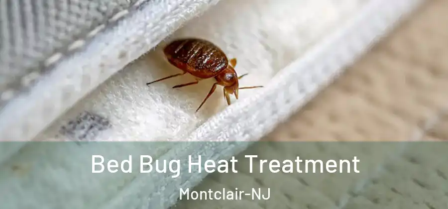  Bed Bug Heat Treatment Montclair-NJ