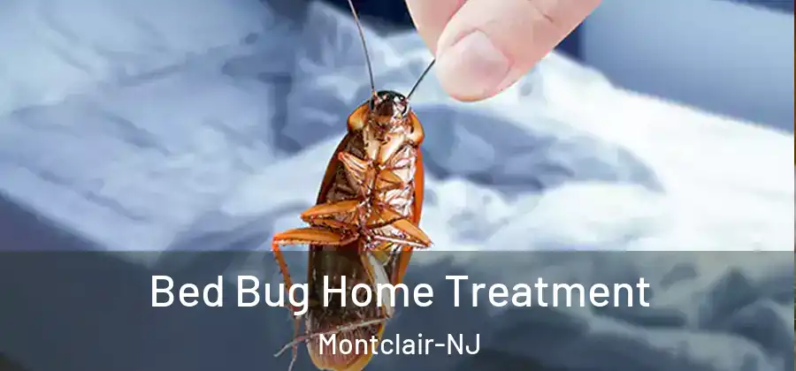  Bed Bug Home Treatment Montclair-NJ