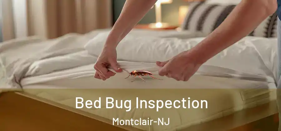 Bed Bug Inspection Montclair-NJ
