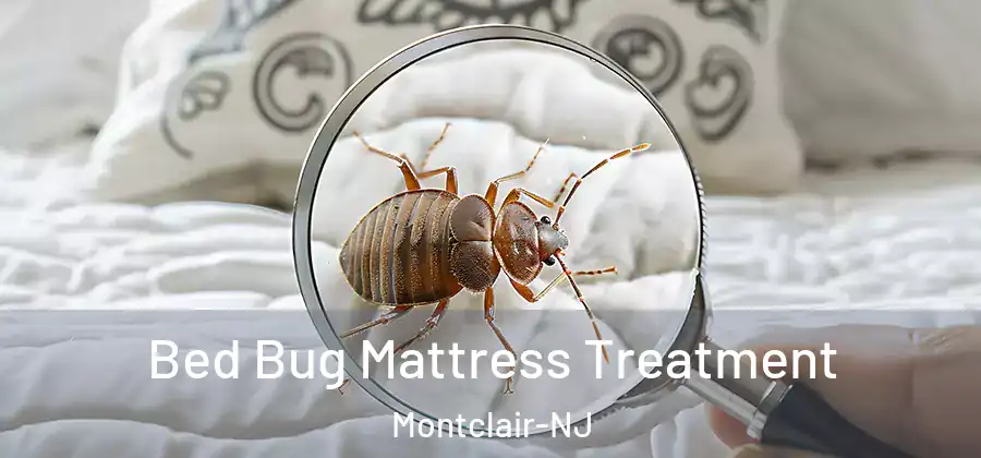 Bed Bug Mattress Treatment Montclair-NJ