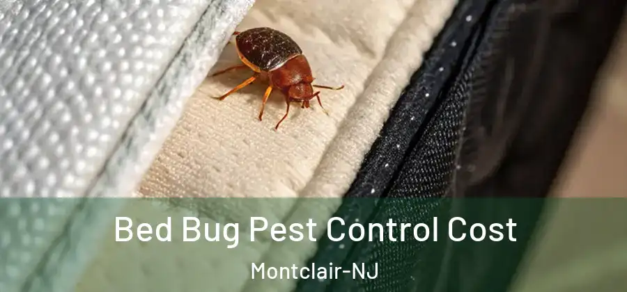  Bed Bug Pest Control Cost Montclair-NJ