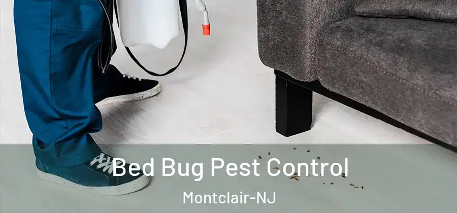 Bed Bug Pest Control Montclair-NJ