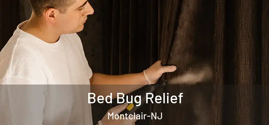 Bed Bug Relief Montclair-NJ
