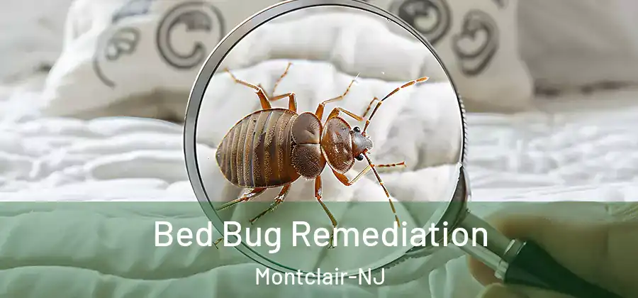  Bed Bug Remediation Montclair-NJ