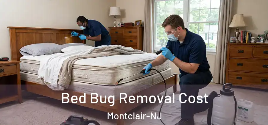 Bed Bug Removal Cost Montclair-NJ