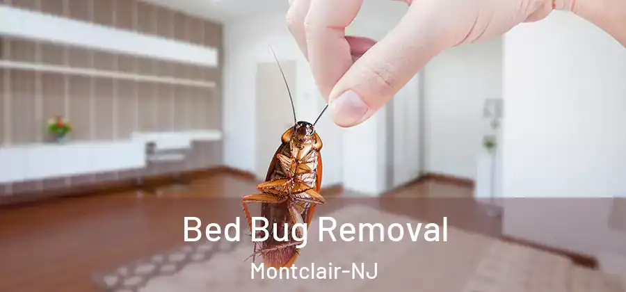  Bed Bug Removal Montclair-NJ