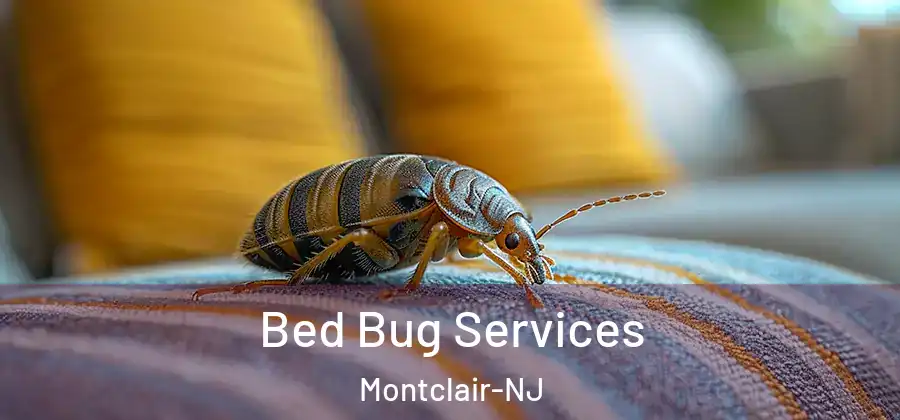 Bed Bug Services Montclair-NJ