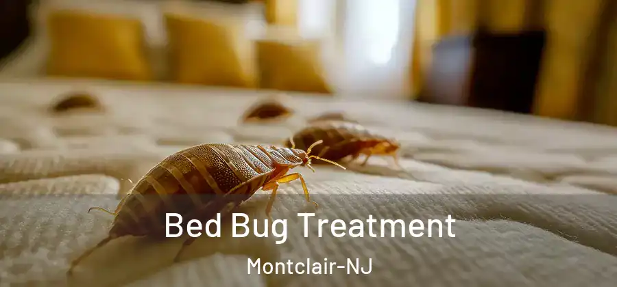 Bed Bug Treatment Montclair-NJ