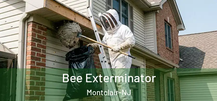  Bee Exterminator Montclair-NJ
