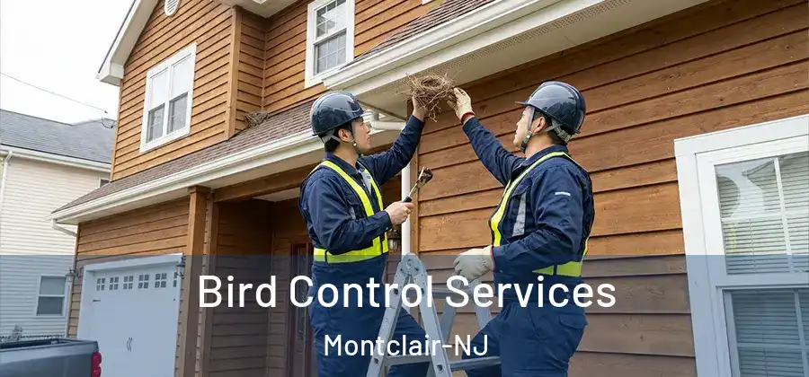 Bird Control Services Montclair-NJ