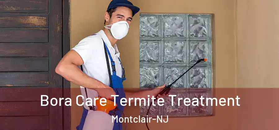  Bora Care Termite Treatment Montclair-NJ