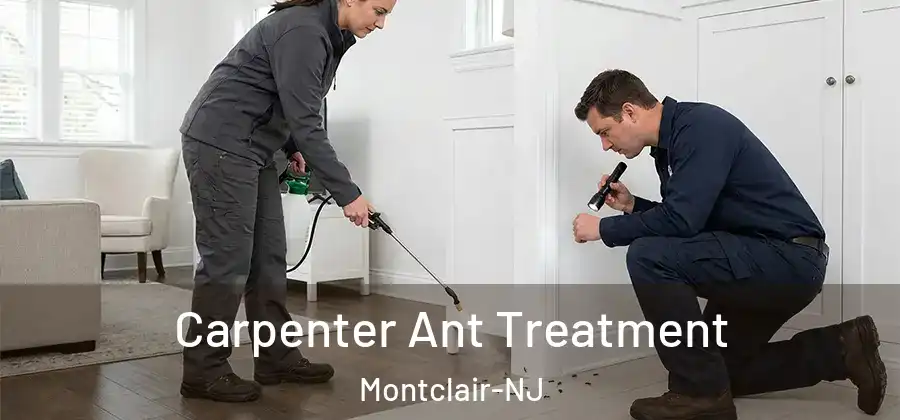Carpenter Ant Treatment Montclair-NJ