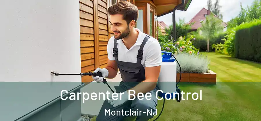 Carpenter Bee Control Montclair-NJ