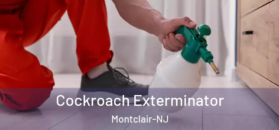 Cockroach Exterminator Montclair-NJ