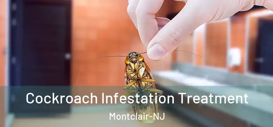 Cockroach Infestation Treatment Montclair-NJ
