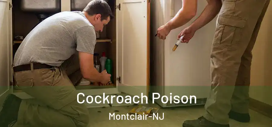  Cockroach Poison Montclair-NJ