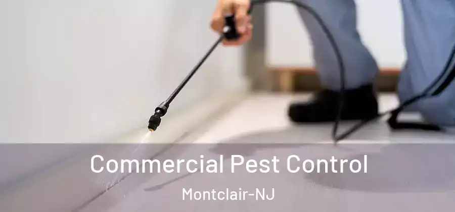Commercial Pest Control Montclair-NJ
