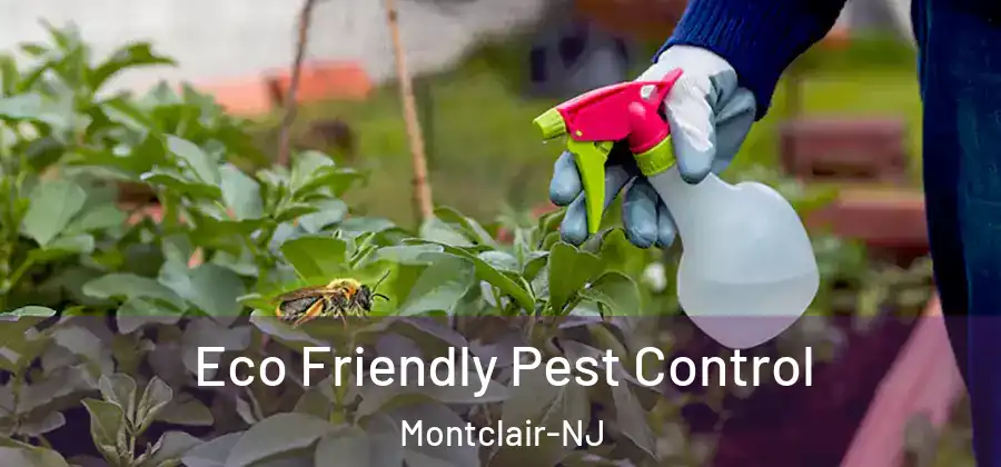 Eco Friendly Pest Control Montclair-NJ
