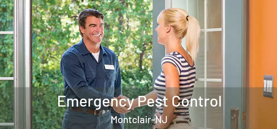  Emergency Pest Control Montclair-NJ