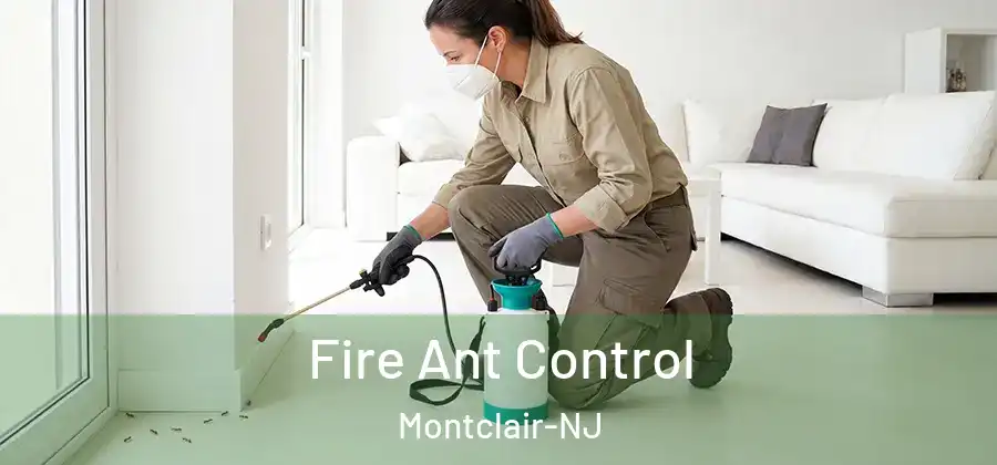 Fire Ant Control Montclair-NJ