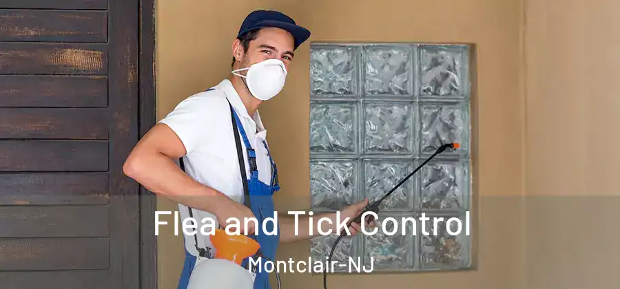 Flea and Tick Control Montclair-NJ
