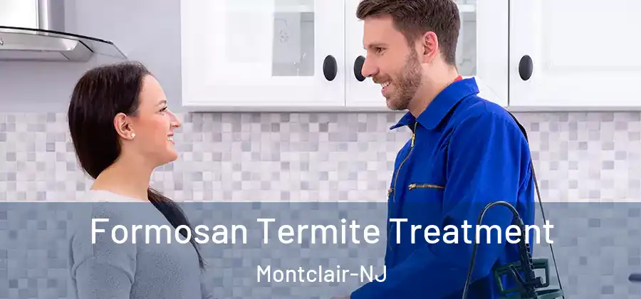 Formosan Termite Treatment Montclair-NJ