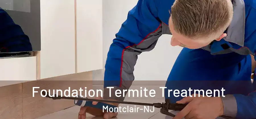 Foundation Termite Treatment Montclair-NJ