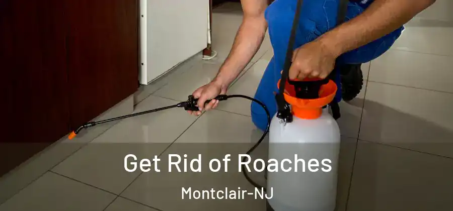 Get Rid of Roaches Montclair-NJ