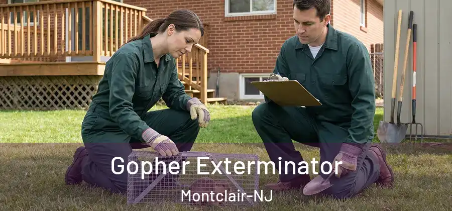  Gopher Exterminator Montclair-NJ