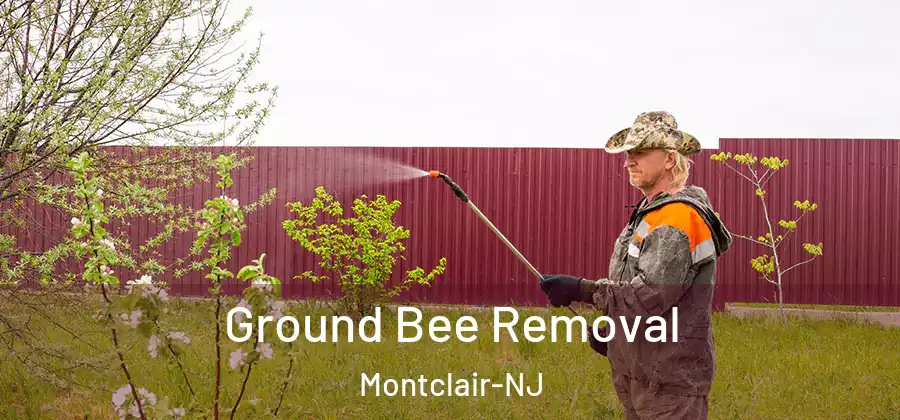Ground Bee Removal Montclair-NJ
