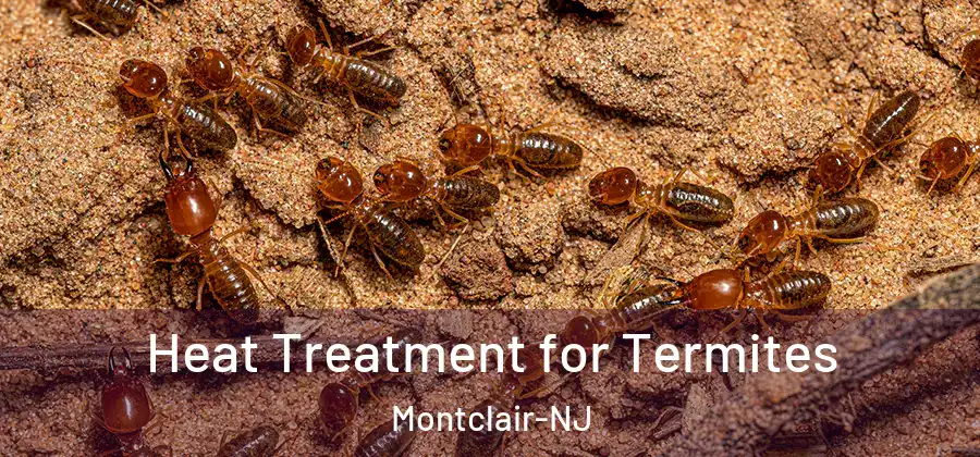 Heat Treatment for Termites Montclair-NJ