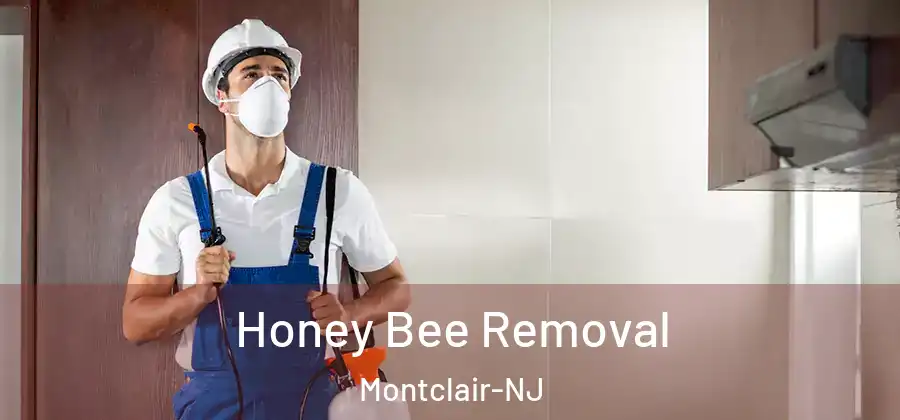 Honey Bee Removal Montclair-NJ