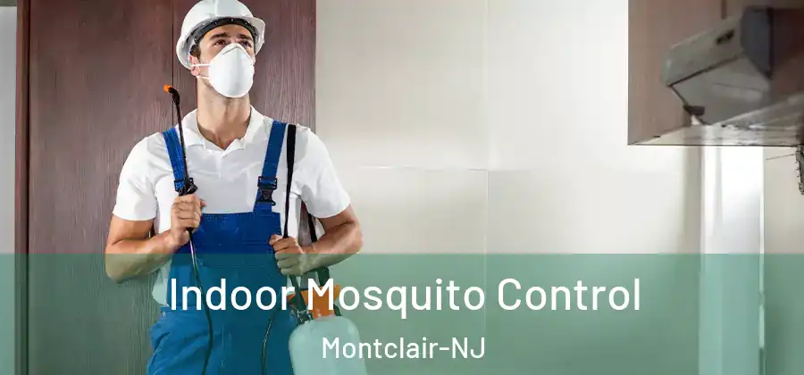 Indoor Mosquito Control Montclair-NJ