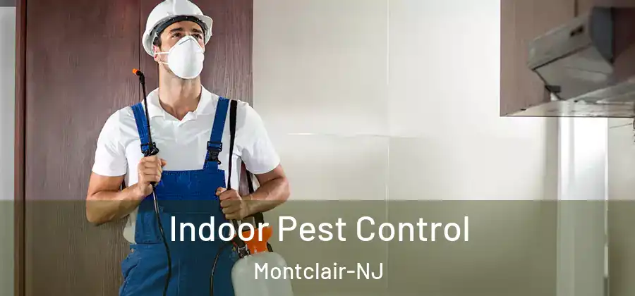  Indoor Pest Control Montclair-NJ