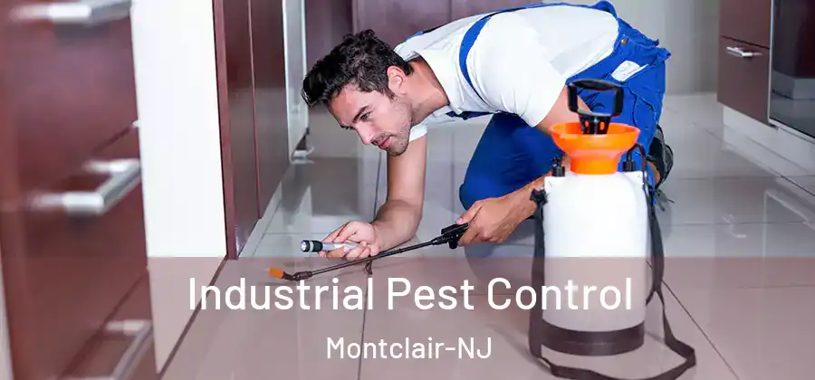 Industrial Pest Control Montclair-NJ