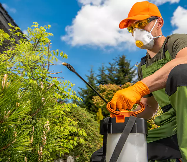 Your Mosquito Repellent Barrier Service in Montclair, NJ