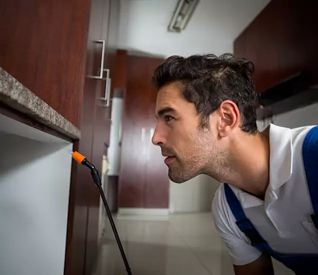 Termite Inspection Cost Experts You Can Trust in Montclair, NJ