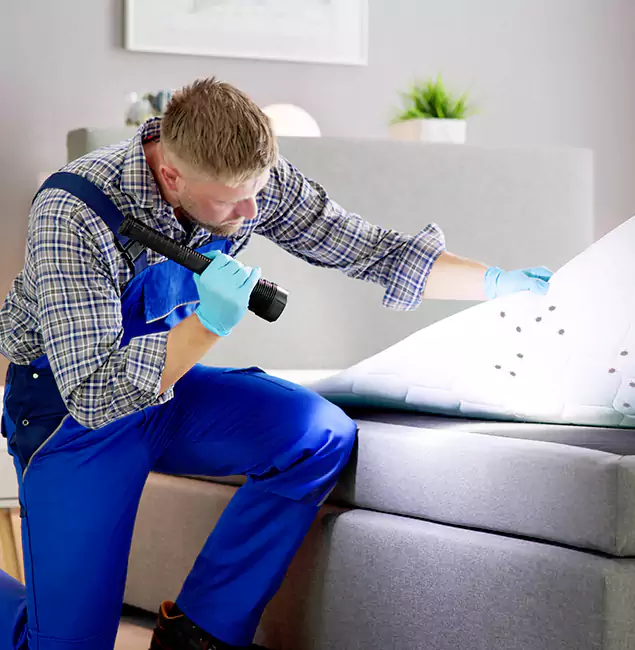 Why Choose Montclair Pest Control Pro for Bed Bug Exterminator Cost in Montclair, NJ?