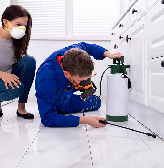 Why Montclair, NJ Homeowners Trust Montclair Pest Control Pro for Roach Control?