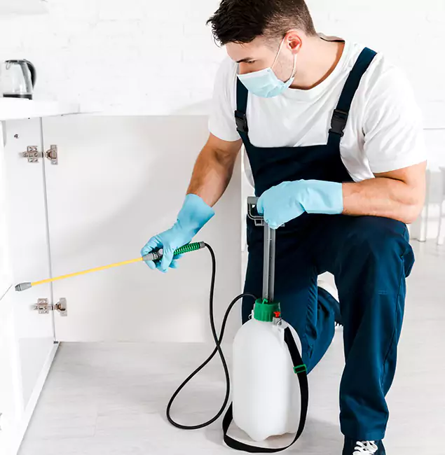 Why Choose Montclair Pest Control Pro for Indoor Pest Control in Montclair, NJ?
